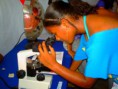 /album/i%20feira%20de%20ci%c3%aancias%20e%20tecnologias/pict0085-jpg/